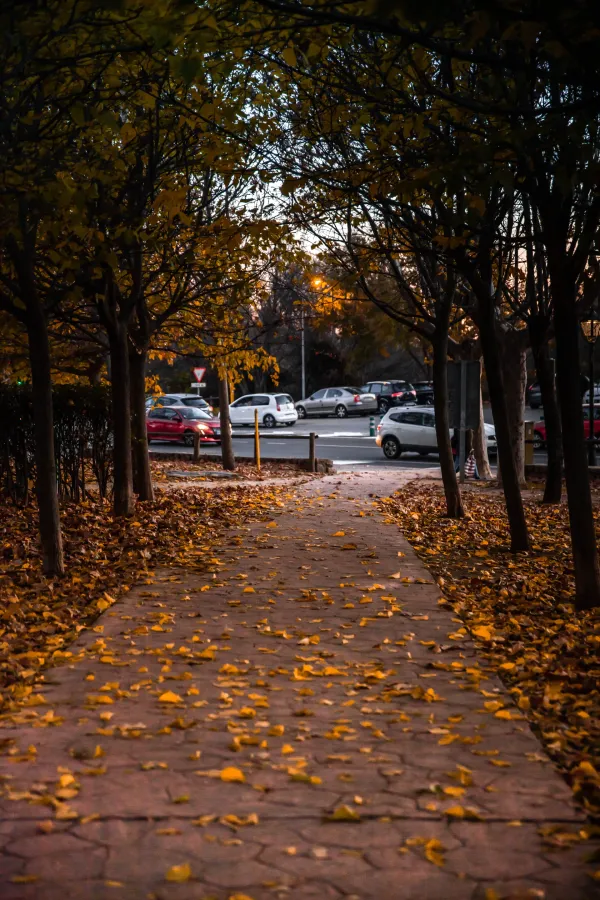 paisaje 12