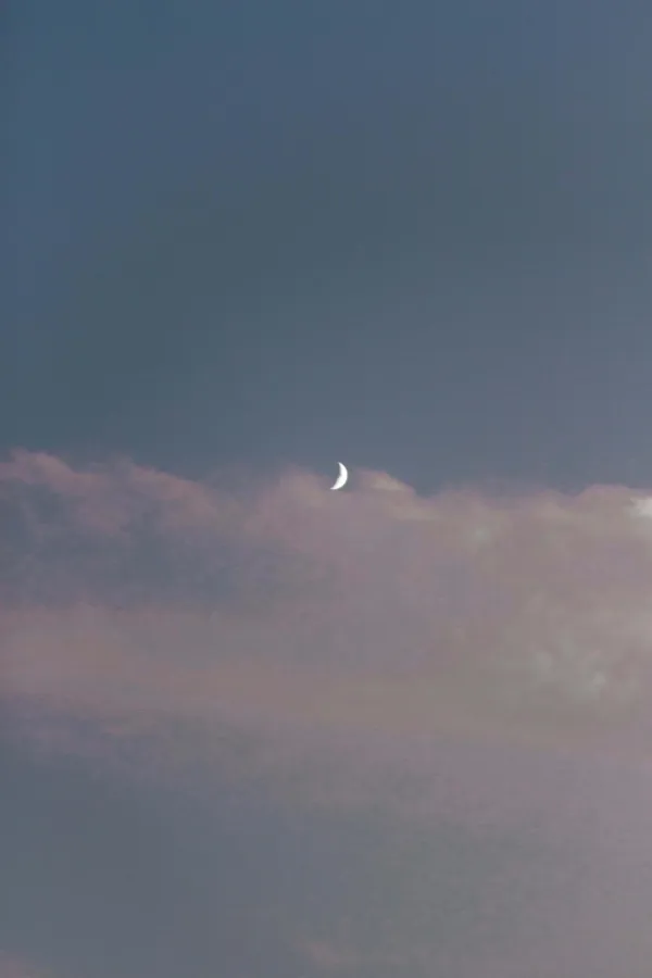 paisaje 14